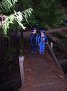 11.06.05 Wildwood Trail 024 